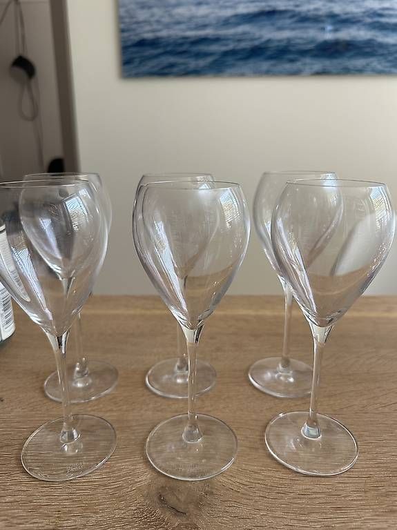 Zwiesel Gläser: SCHOTT ZWIESEL 6 Champagner/ Sekt Gläser – Gebraucht aus Zürich von mar_22hb