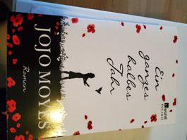 Ein ganzes halbes Jahr Buch