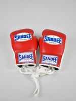 Sandee Boxhandschuhe 10oz, unbenutzt