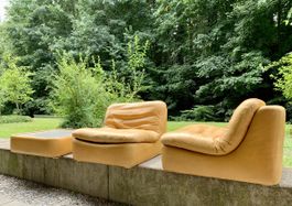 Space Age Sessel | Sofa 1970 Leder (wie Rizzo, Togo)
