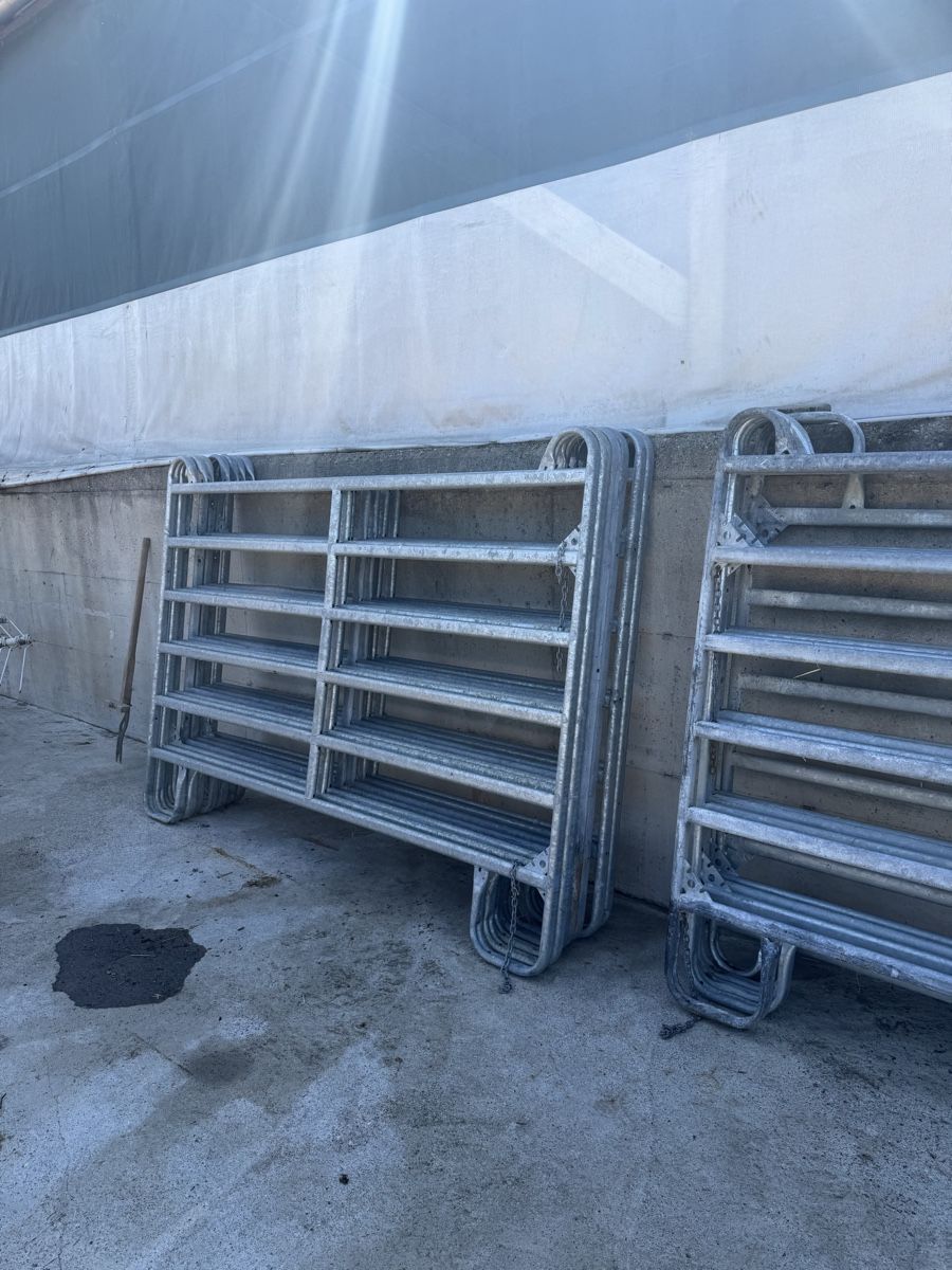 Altro: Corral Panel Schwer – Usato da Kümmertshausen venduto da Michi812 2