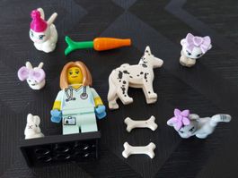 Lego Tierärztin & Tiere 