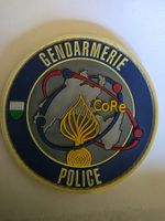 Polizei Abzeichen Badge CORE Pvc Klett neu