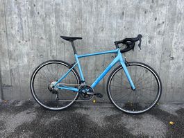 SALE! Cannondale CAAD Optimo Rennvelo, Gr. 54 an Lager