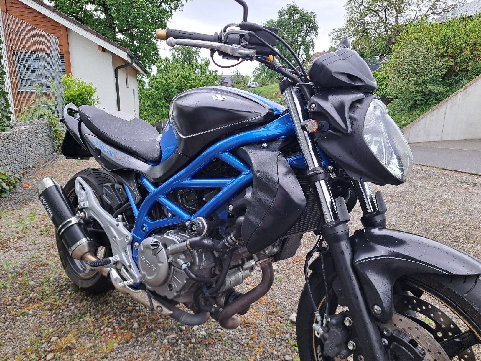 Suzuki Strada: Suzuki SFV 650 A – Usato da Hitzkirch venduto da miguman72 3