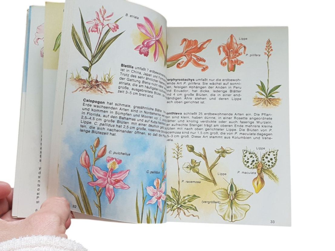 Libri: Orchideen. Wildwachsende Arten aus aller Welt – Usato da Mörschwil venduto da lindaswunderkiste 4