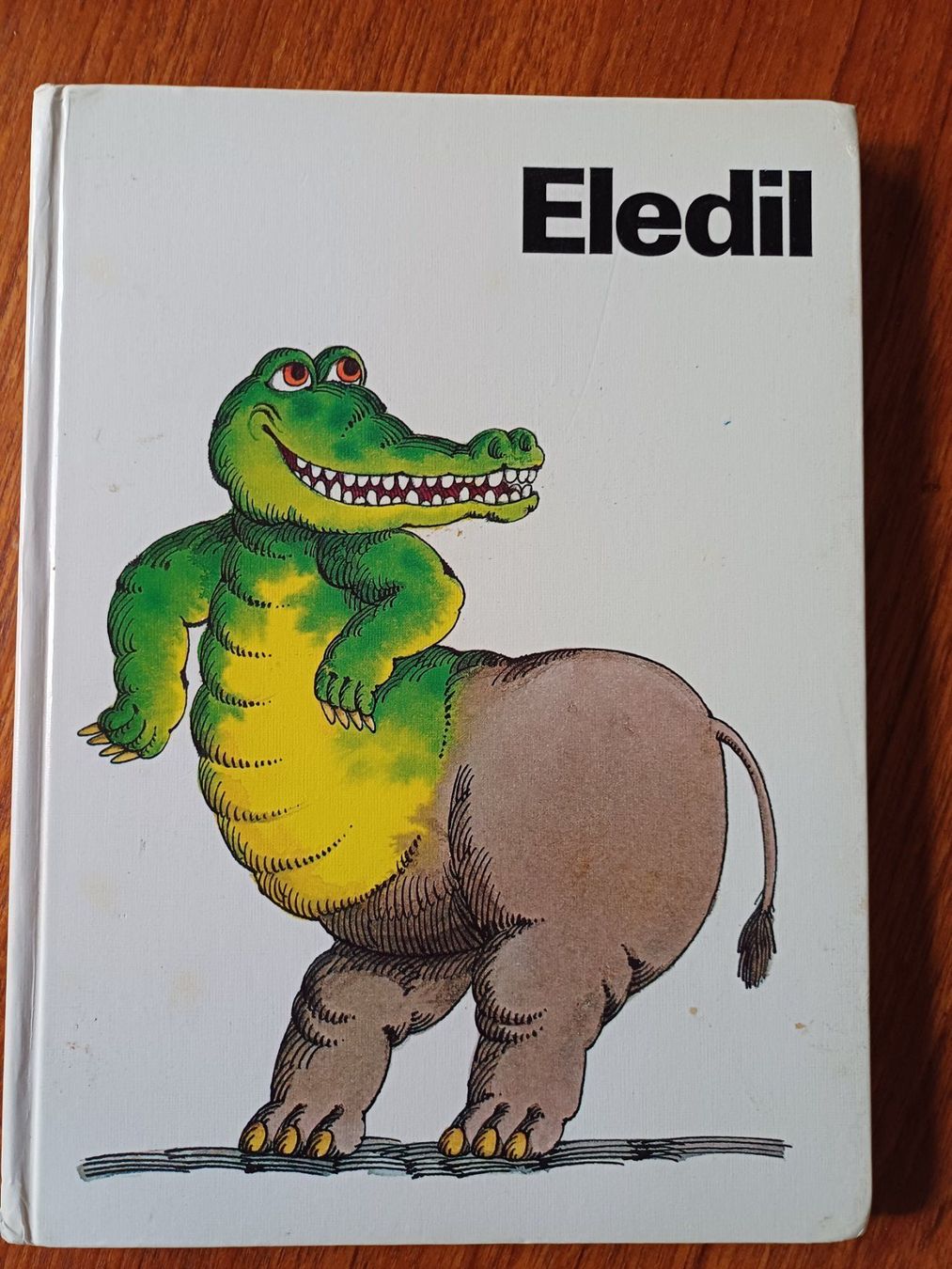 Libri: älteres Schulbuch Eledil – Usato da Bern venduto da Akatinka