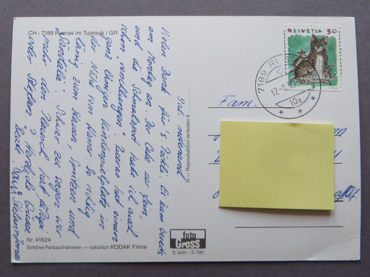 Cartoline postali: ANSICHTSKARTE, RUERAS IM TUJETSCH GRAUBÜNDEN 1990 – Usato da Neuhausen am Rheinfall venduto da Arielle55 1