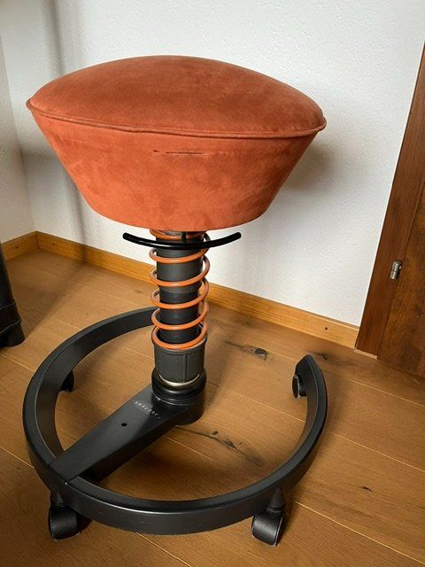 Hocker: Swopper - ergonimischer Bürostuhl – Gebraucht aus Zumikon von Lphilipp 1