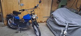 Sachs 503 Alpa