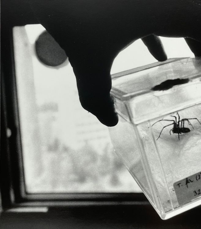 Michel François (1956) Fotografie Kaufen auf Ricardo