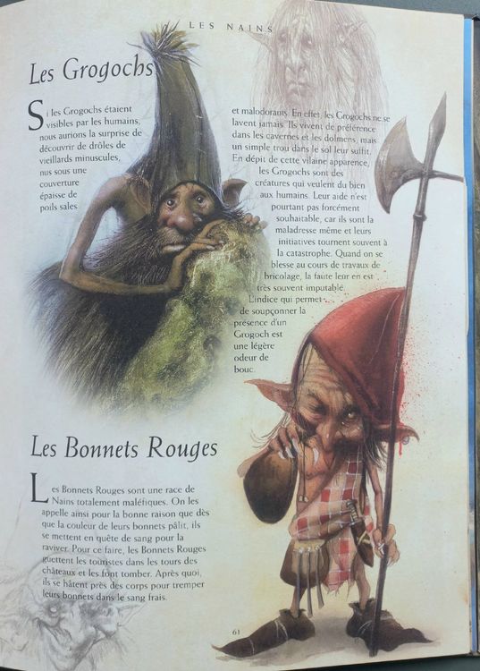 BD Comic - Le livre secret des Nains - Katherine Quenot (Gebraucht) in ...