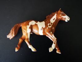 Pinto Hengst von Schleich