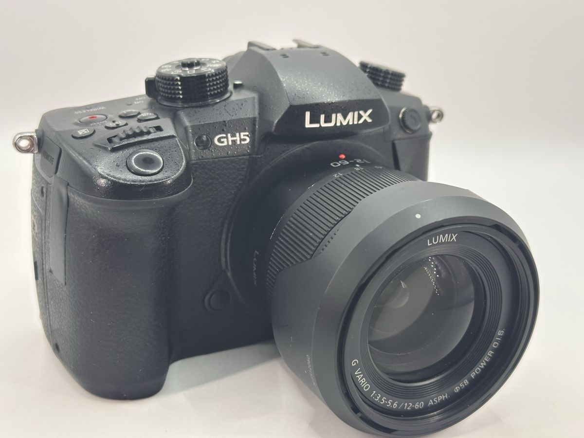 Panasonic Fotocamera: Panasonic Lumix Dc Gh5m – Usato da Arbon venduto da Sed_9bj9 1