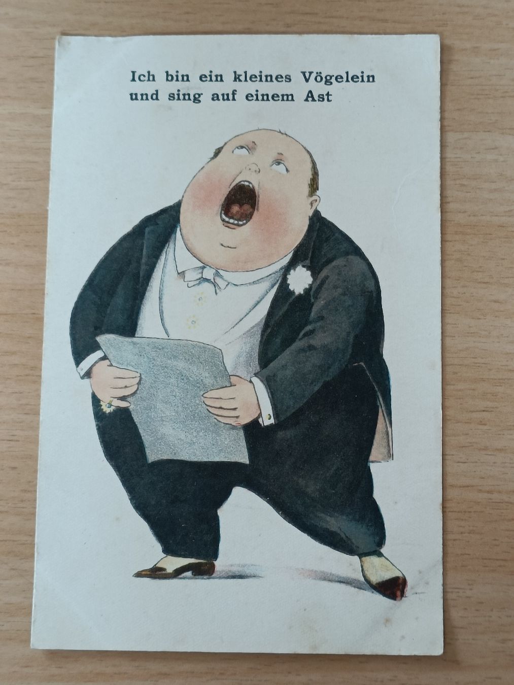 Cartoline postali: Litho Humor Postkarte / Ausgabe ca. 1920 – Usato da Brugg AG venduto da Ente015