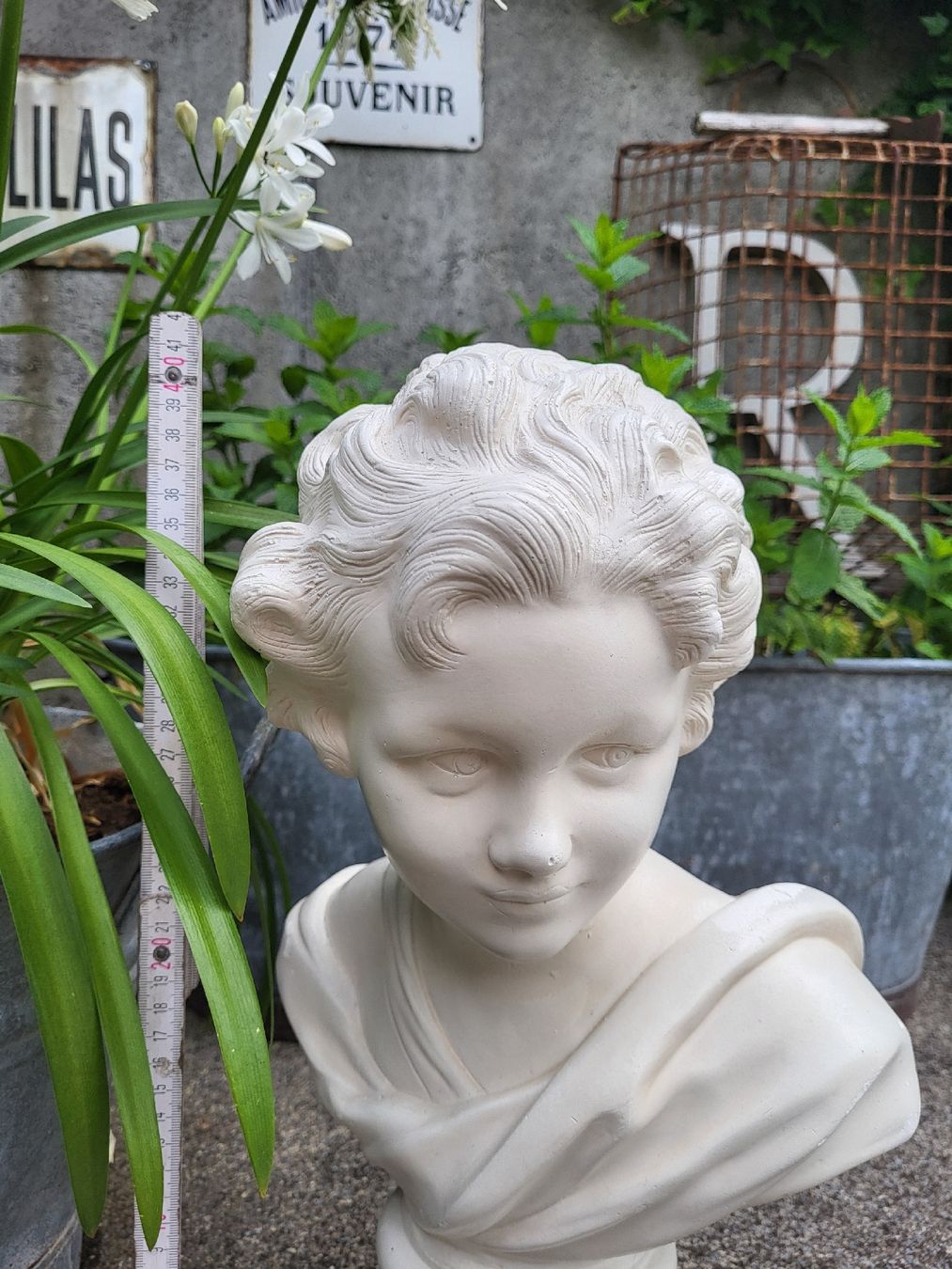 Sculture & Statue: büste, sabby chic, vintage. garten, deko, kinderbüste – Usato da Frutigen venduto da Tipp1 1