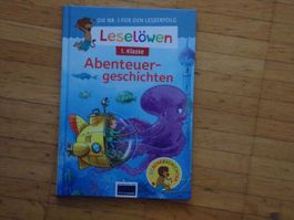Leselöwen  Abenteuergeschichten