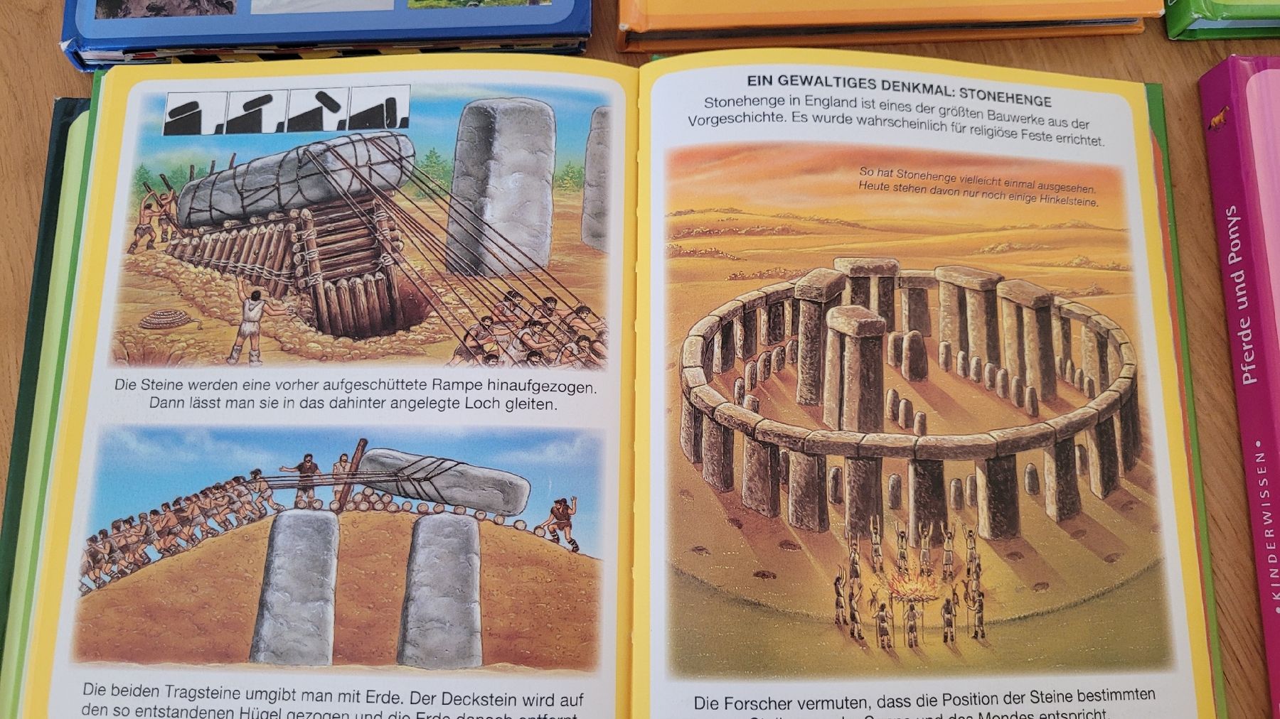 Libri: Bücherserie- Kinderwissen – Usato da Worb venduto da Sibille20 4