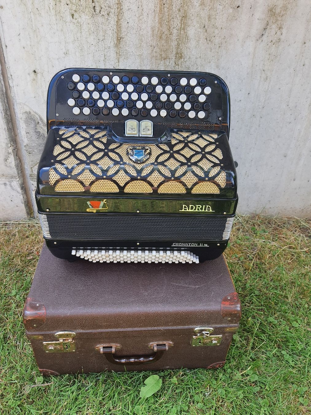 Adria Strumenti musicali: accordéon Adria chromatique  – Usato da Pont-de-la-Morge venduto da Mirabelle0 1