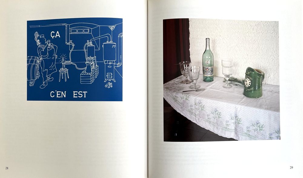 Absinthe Les années vertes ou la fée au fond du verre (Gebraucht) in