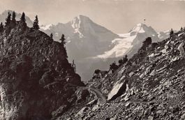 ALPIN: Schynige Platte, Weg auf den Faulhorn, gelaufen 1949