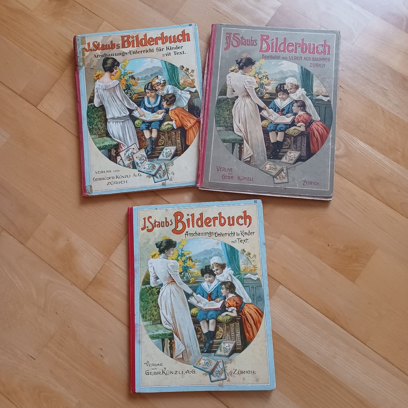 Libri: J. Staubs Bilderbuch, Lehrbuch , Schulbuch , Antik – Usato da Waldkirch venduto da Fantasia-101