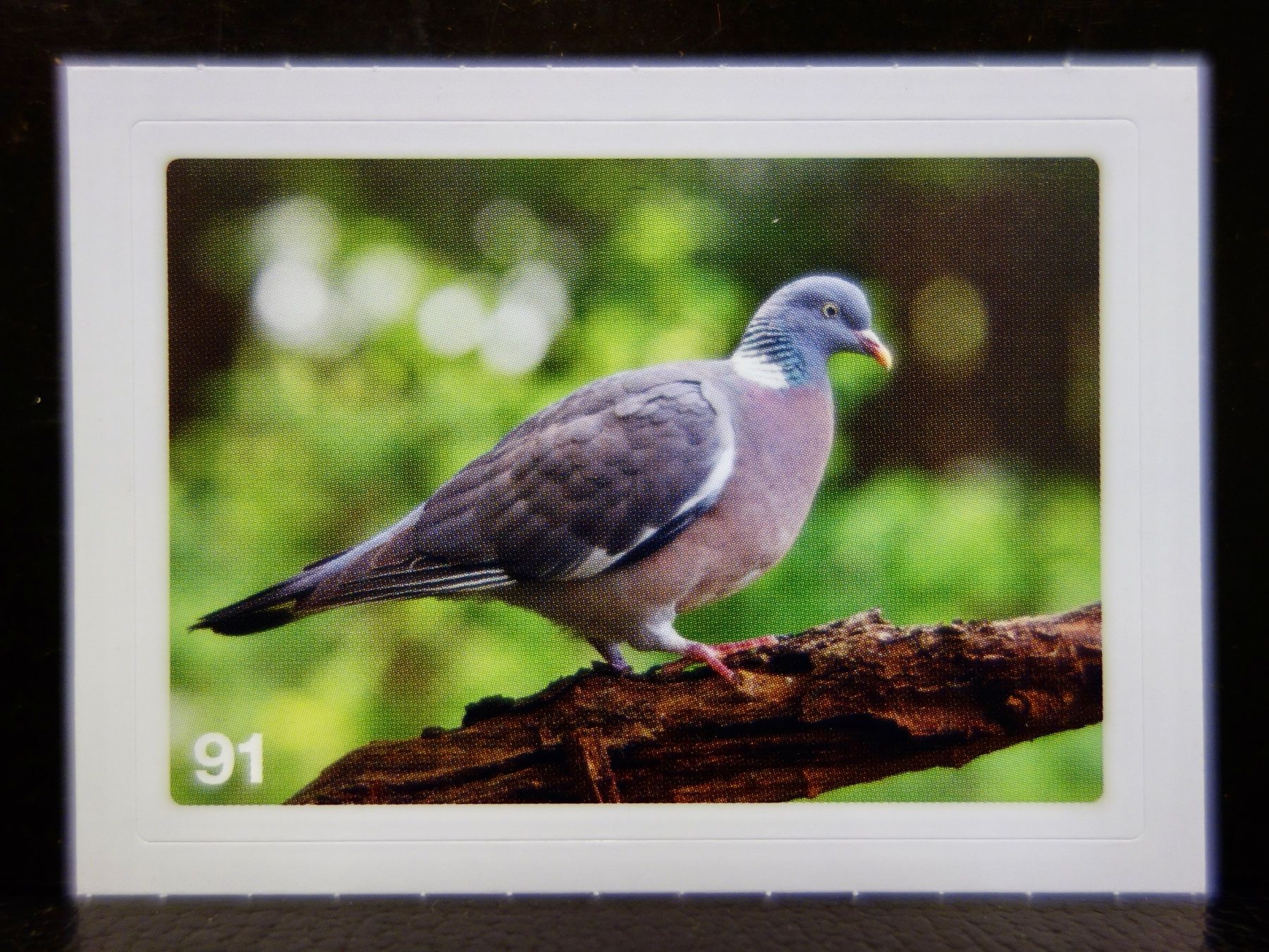 Migros Carte collezionabili: MIGROS MANIA Nature Detectives Nr. 91 – Nuovo e nell'imballaggio originale da Kerzers venduto da djstarsky73