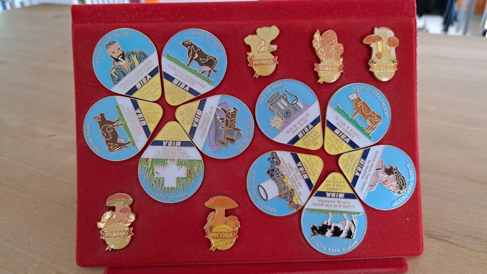 Pins | Acheter sur Ricardo