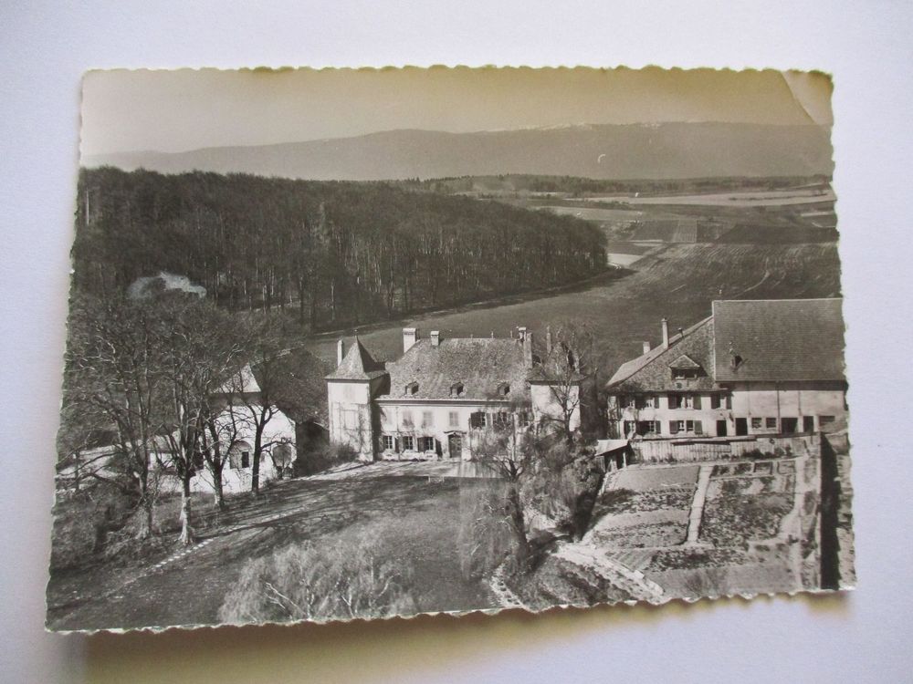 CP BussyChardonney VD 919 Kaufen auf Ricardo