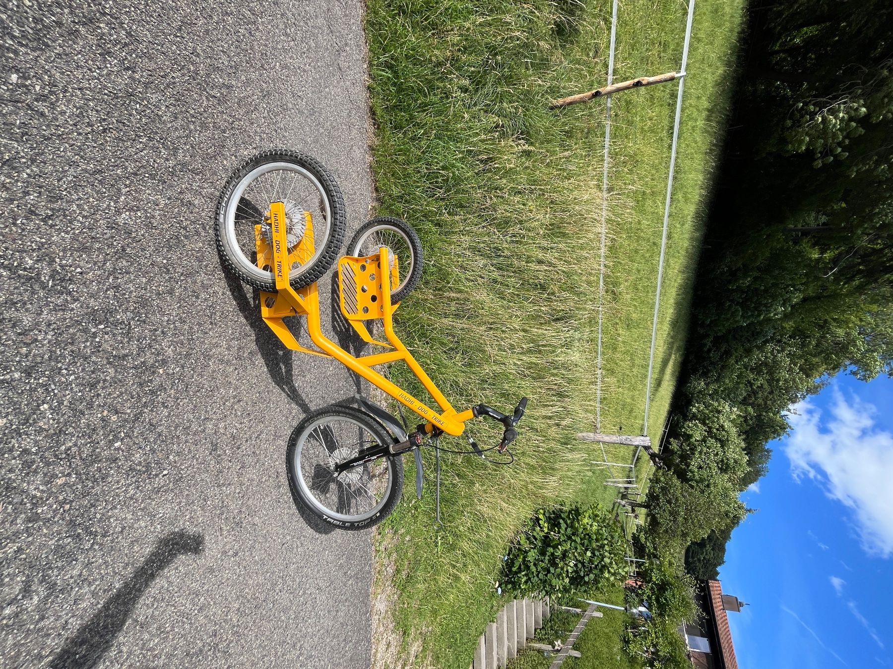 Velos: Hadhi Dog Trike – Gebraucht aus Reigoldswil von tan_wh69 6