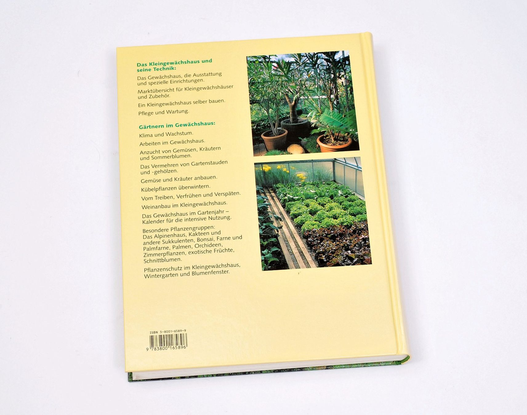 Libri: Das Kleingewächshaus Technik und Nutzung Garten Gewächshaus – Usato da Gränichen venduto da Zuckerhut45 7