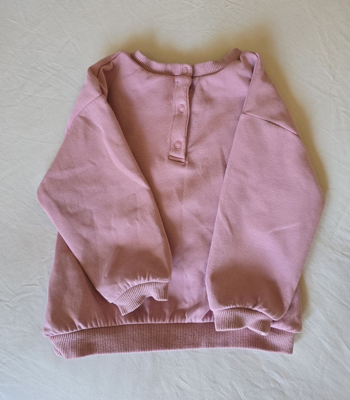 Pullover & Sweatshirts: Sweat Disney Le Roi Lion, taille 18 mois – Gebraucht aus Genève von cec_d6pg 1