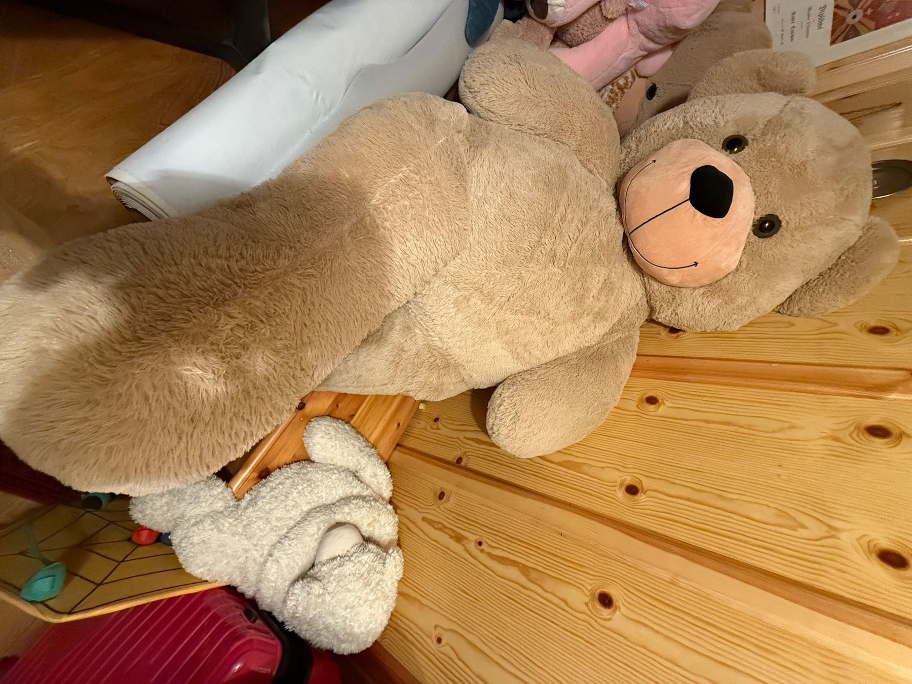 Migros Spielzeuge: Peluches – Neu (gemäss Beschreibung) aus savièse von karukeragwada 1