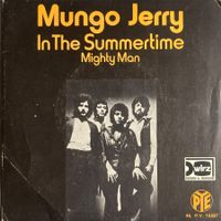 MUNGO JERRY - IN THE SUMMERTIME