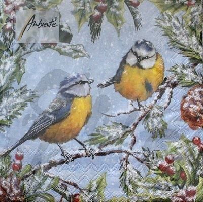 Tovaglioli: Serviette chirping birds (1050) 2Stk. – Nuovo (secondo la descrizione) da Schlatt TG venduto da kreativ-atelier
