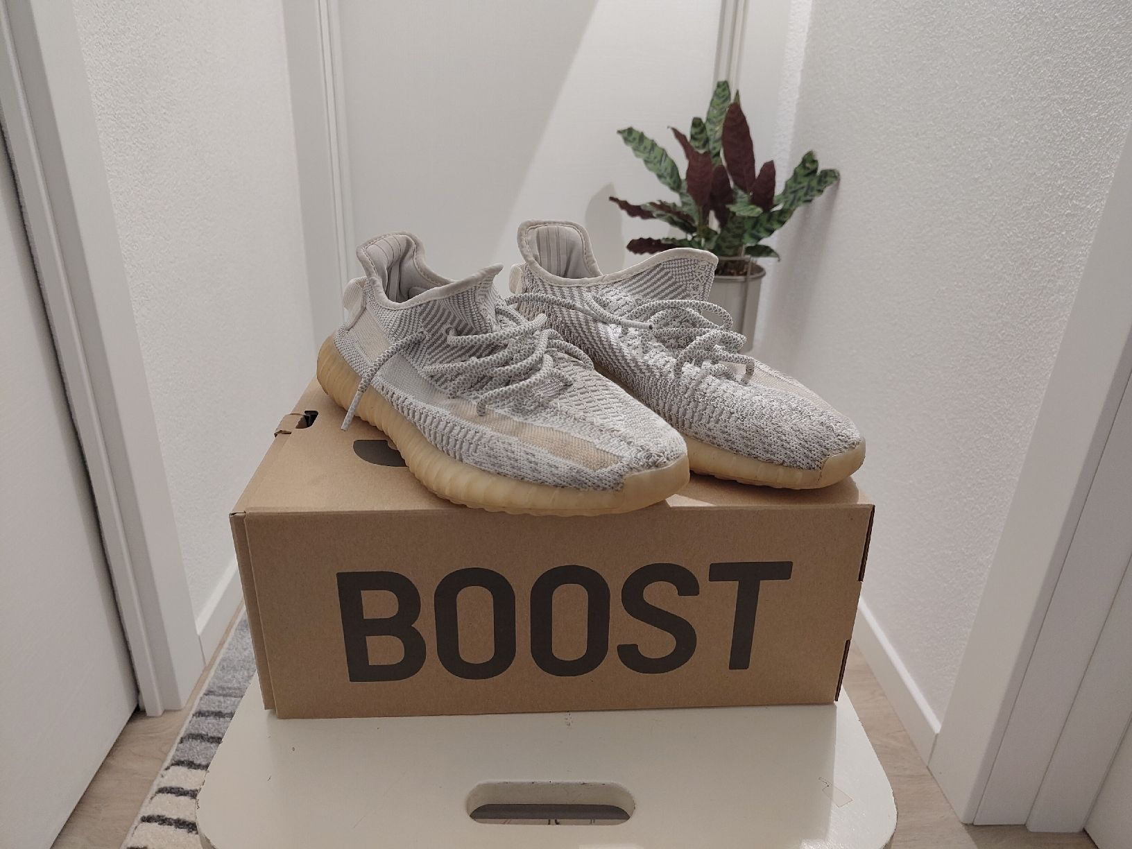 Adidas Chaussures hommes: Yeezy Boost 350 V2 – D'occasion à Giubiasco par edo_7zgw