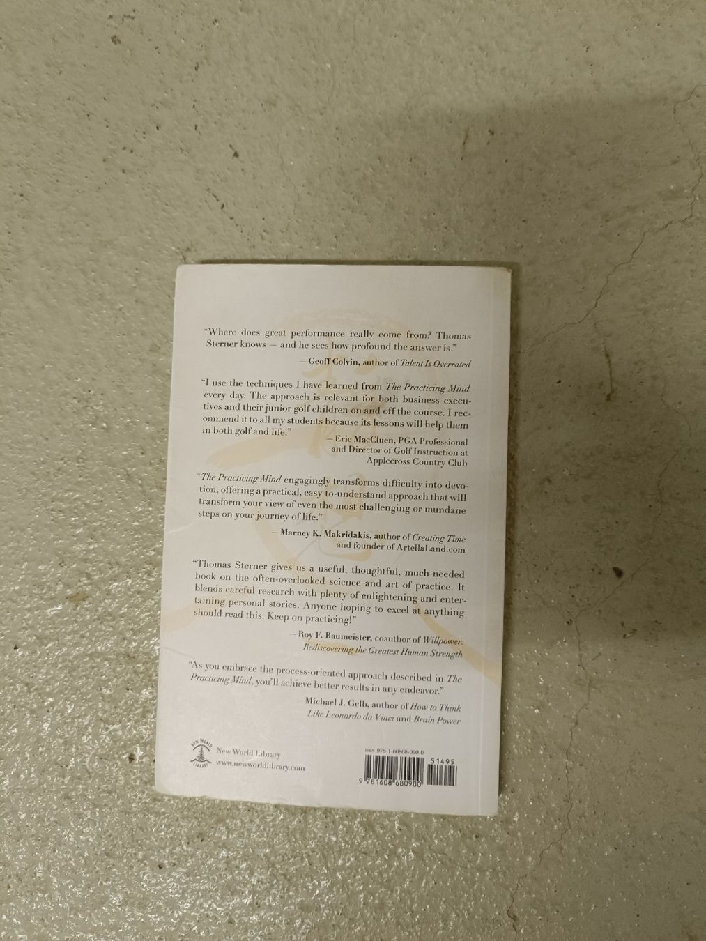 Libri: Buch: The Practicing Mind, Thomas M. Sterner – Usato da Liesberg Dorf venduto da Tisba_swiss 1