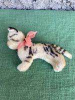 Alte Steif Katzen 