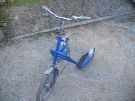 3 Rad Trotinett