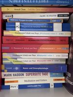 Systemische Therapie Praxis Lehrbuch guter Zustand