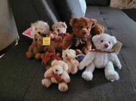 Teddybären Sammlung