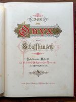 Der Onyx von Schaffhausen, antikes Buch 1882 Rarität