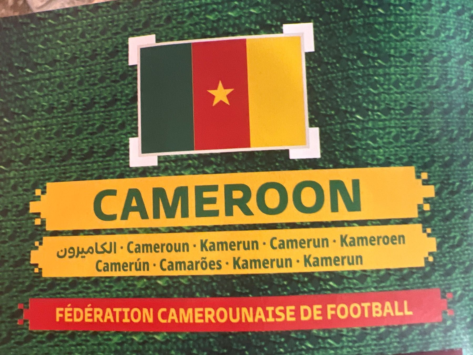 Panini Cartes à collectionner: Panini Qatar 2022 Oryx Edition Cameroon – Neuf (Voir description) à Dietikon par Emoruk 2