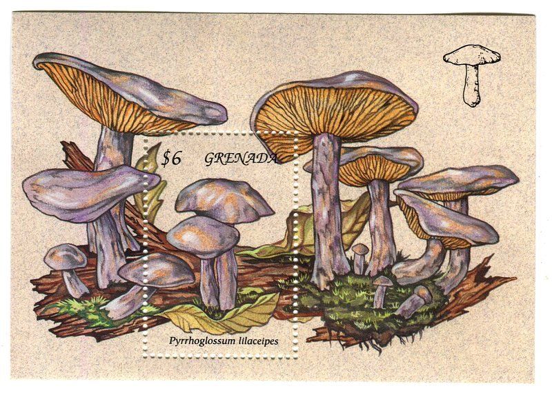 Alle Briefmarken: Block "Pilze". Grenada – Neu und originalverpackt aus Basel von Butsch5