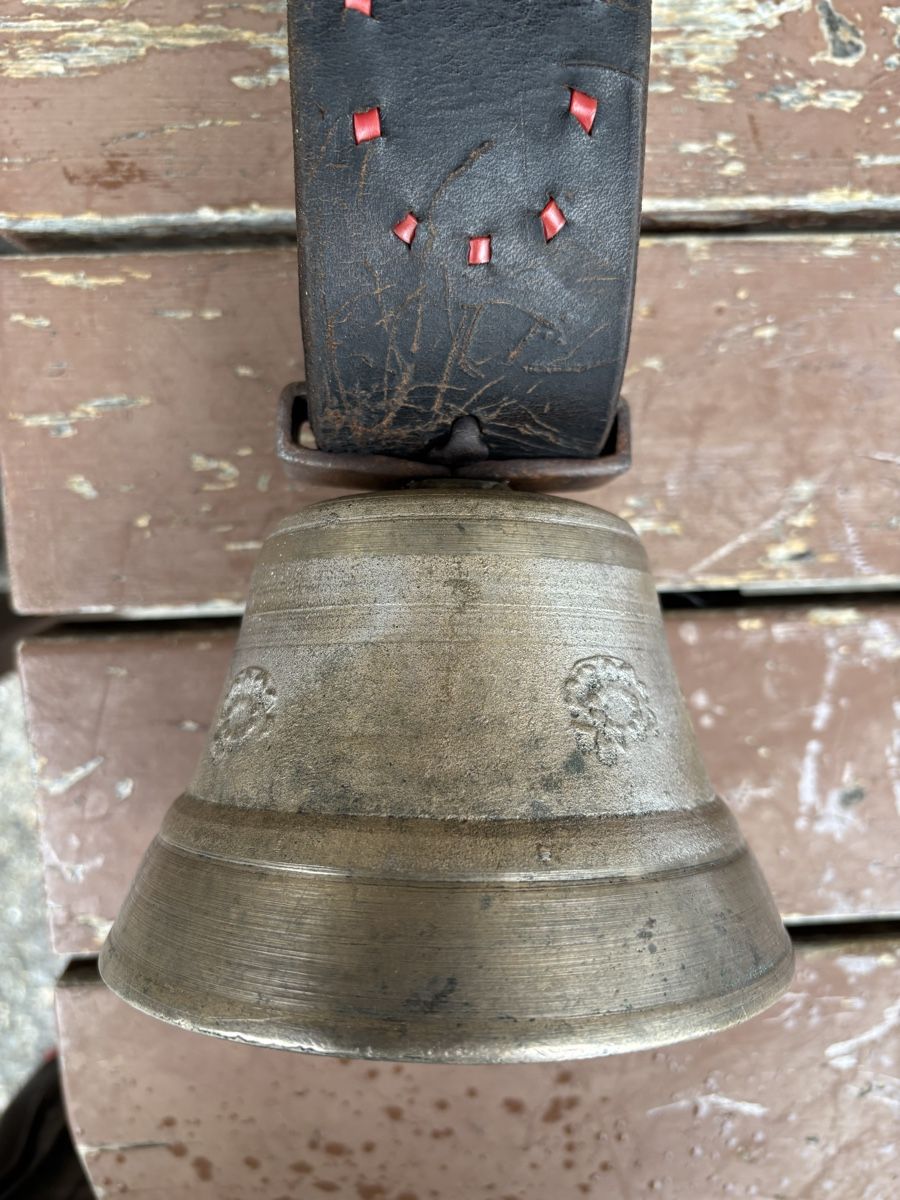 Campanacci mucche: Moser Glöggli – Usato da Schangnau venduto da Roseggli82 2