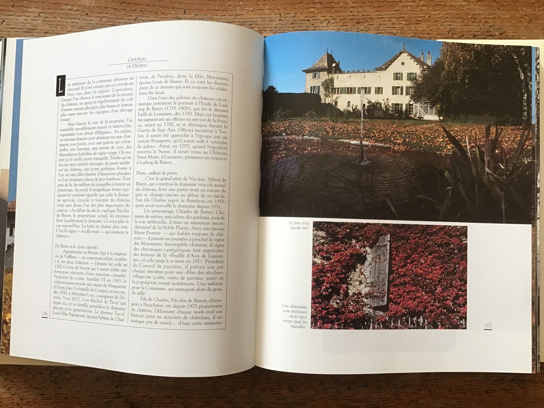 Libri: Les châteaux viticoles du Pays de Vaud – Usato da Fully venduto da Ruby97 7