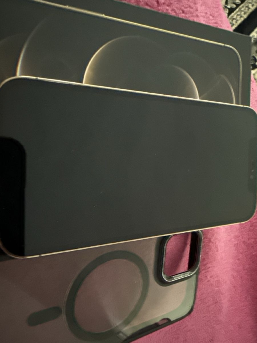 Apple Telefoni cellulari / Smartphones: iPhone 12 Pro Max 256GB neuwertig mit Hülle – Usato da Densbüren venduto da ner_9wxs