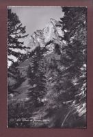 DENT DE JAMAN