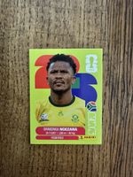 S. Ngezana RSA 8 Panini WC 2026