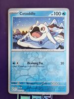 Cetoddle - Reverse Holo - Pokemon Surging Sparks